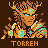 Torren